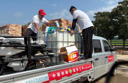 縣供銷合作社:飛防作業護良田 供銷賦能助豐收